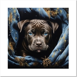 Cute Pitty Posters and Art